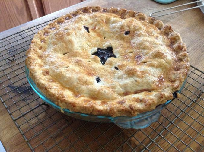 1146792_10103478618806900_371636507_o